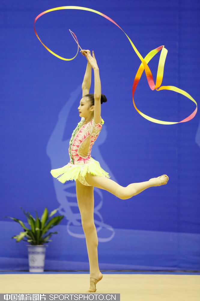 五彩的蝴蝶 五彩的蝴蝶