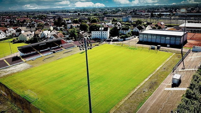 在骑士队的 在骑士队的