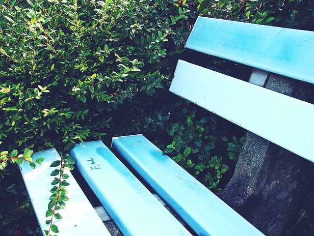 足球转会市 足球转会市