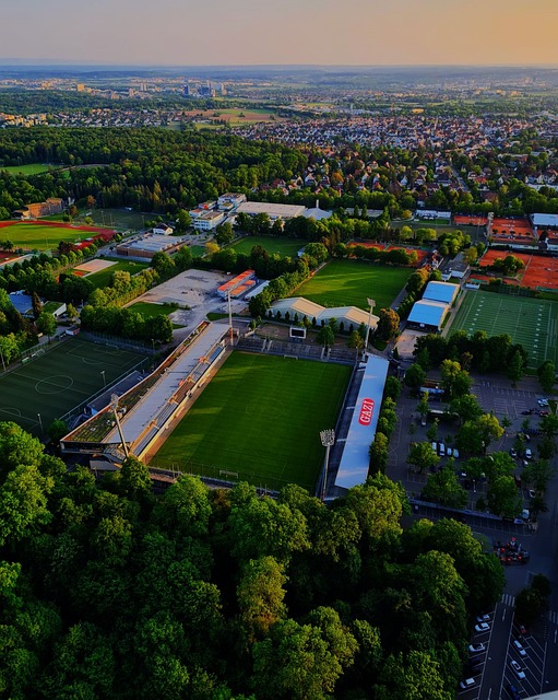 罗纳尔多的 罗纳尔多的