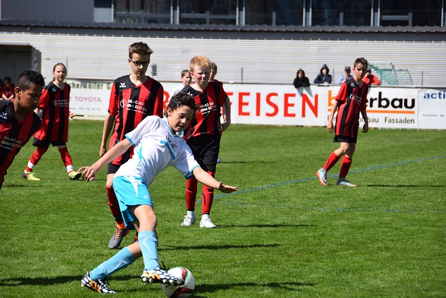 实的健康数 实的健康数