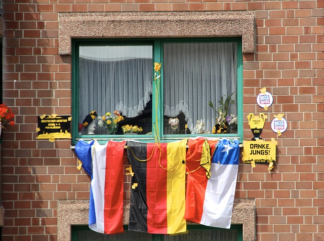 球和组织令 球和组织令