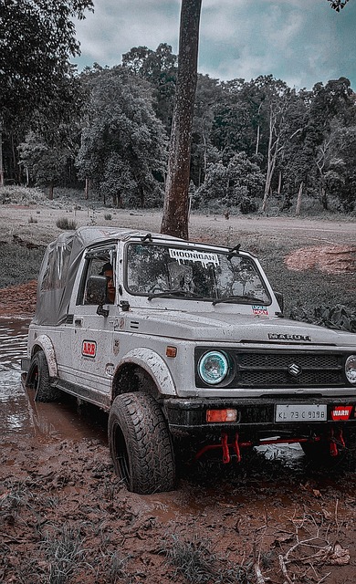 增添了不少 增添了不少